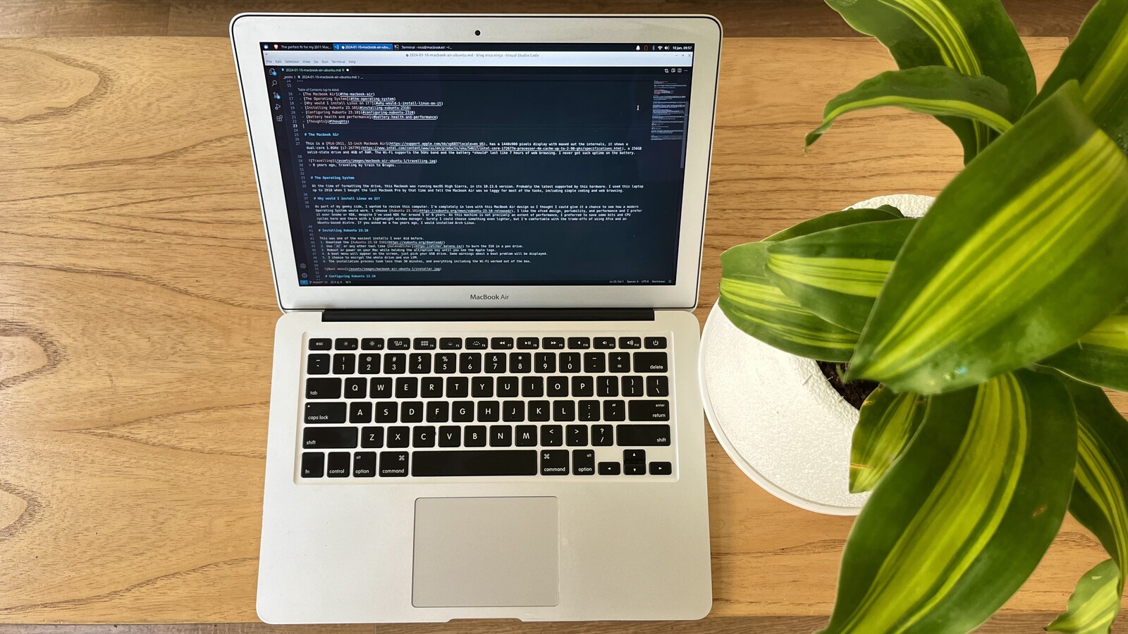 MacBook Air sitting next to a plant